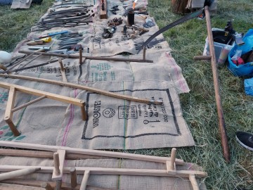 Dzień Łąki na Polu Nieborowskim z Fundacją „Kwietna” , 